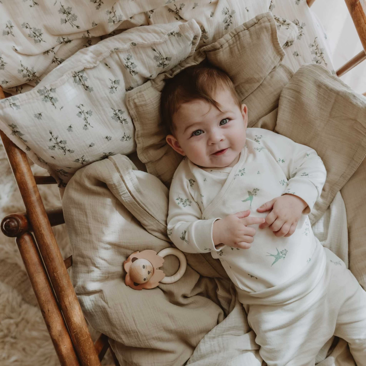 Lion Teether(Garbo And Friends Lion Teether) - Image 2