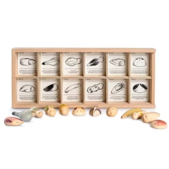 Wild-12 Wooden Creatures With Sorting Tray(Grapat Wild 12 Wooden Creatures With Sorting Tray)