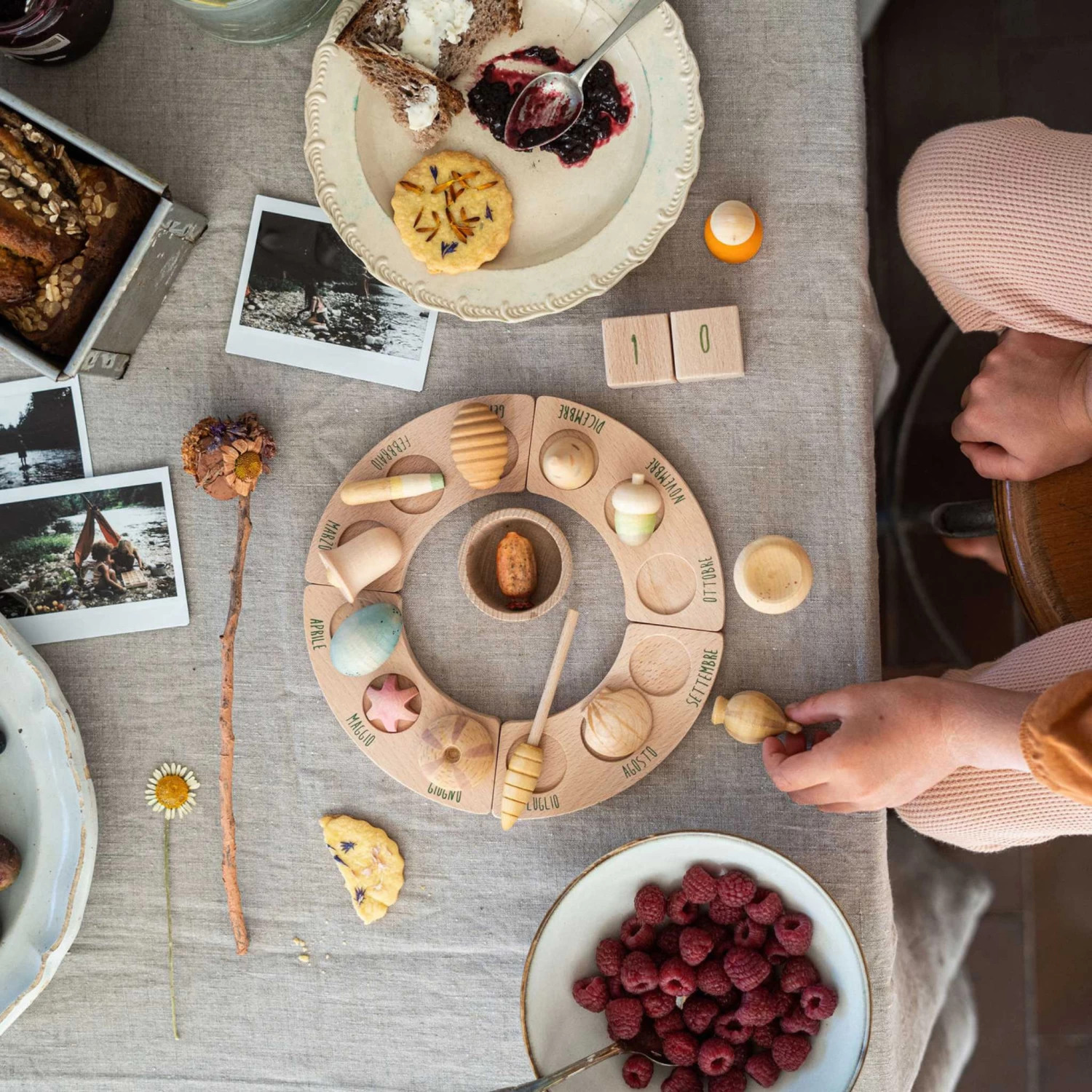 Wonders Set-12 Wooden Botanical Wonders(Grapat 12 Wooden Botanical Wonders Set) - Image 9