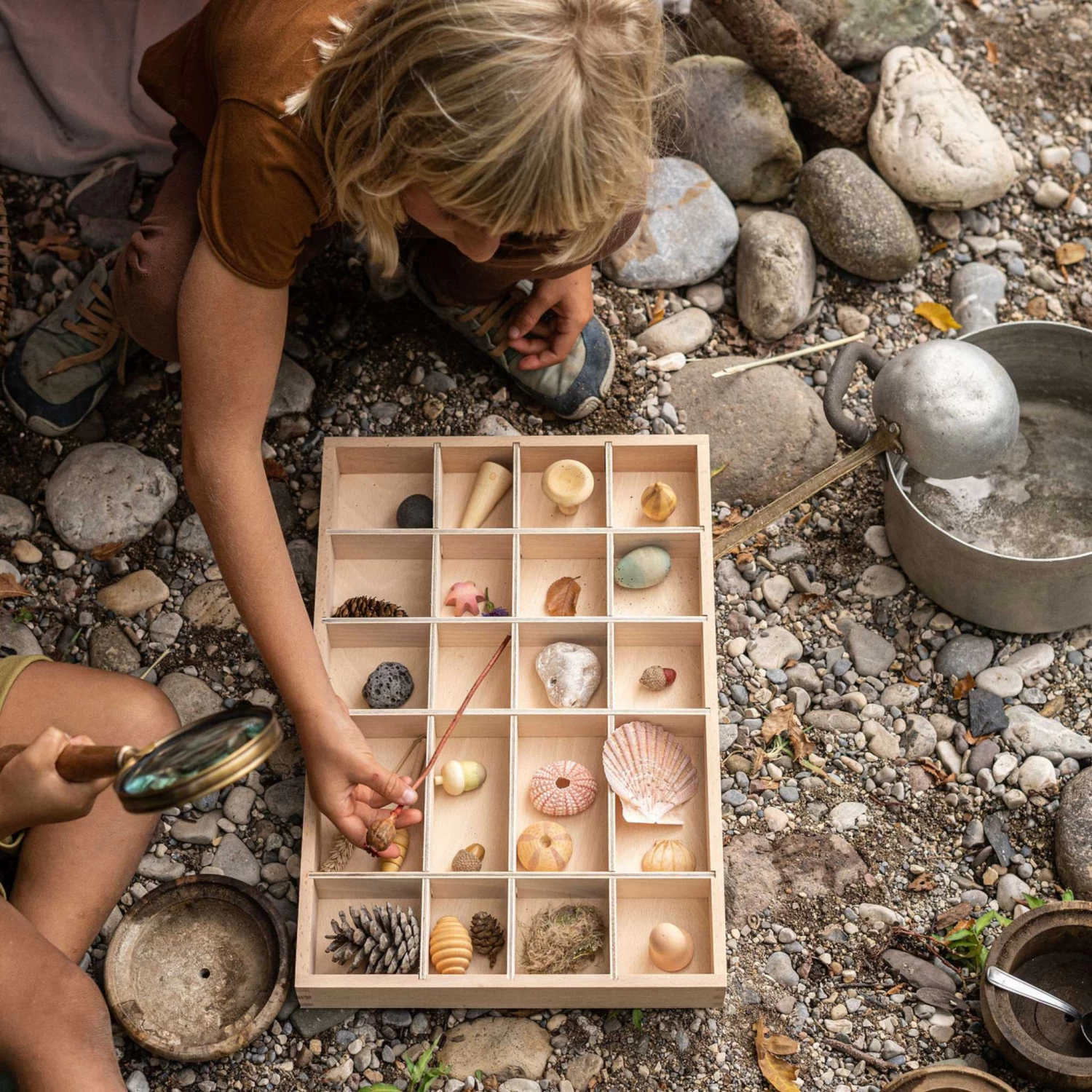 Wonders Set-12 Wooden Botanical Wonders(Grapat 12 Wooden Botanical Wonders Set) - Image 2