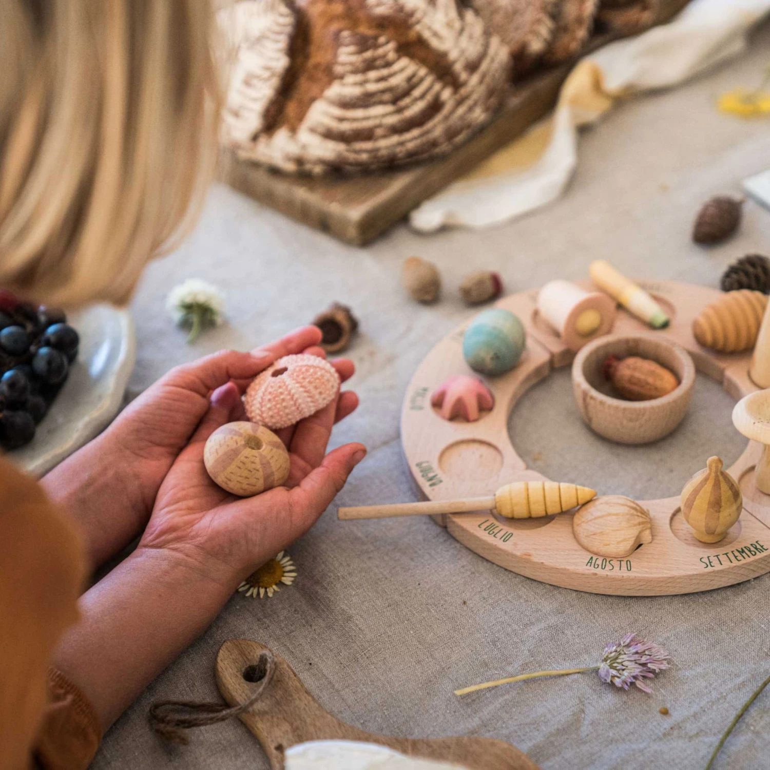 Wonders Set-12 Wooden Botanical Wonders(Grapat 12 Wooden Botanical Wonders Set) - Image 7