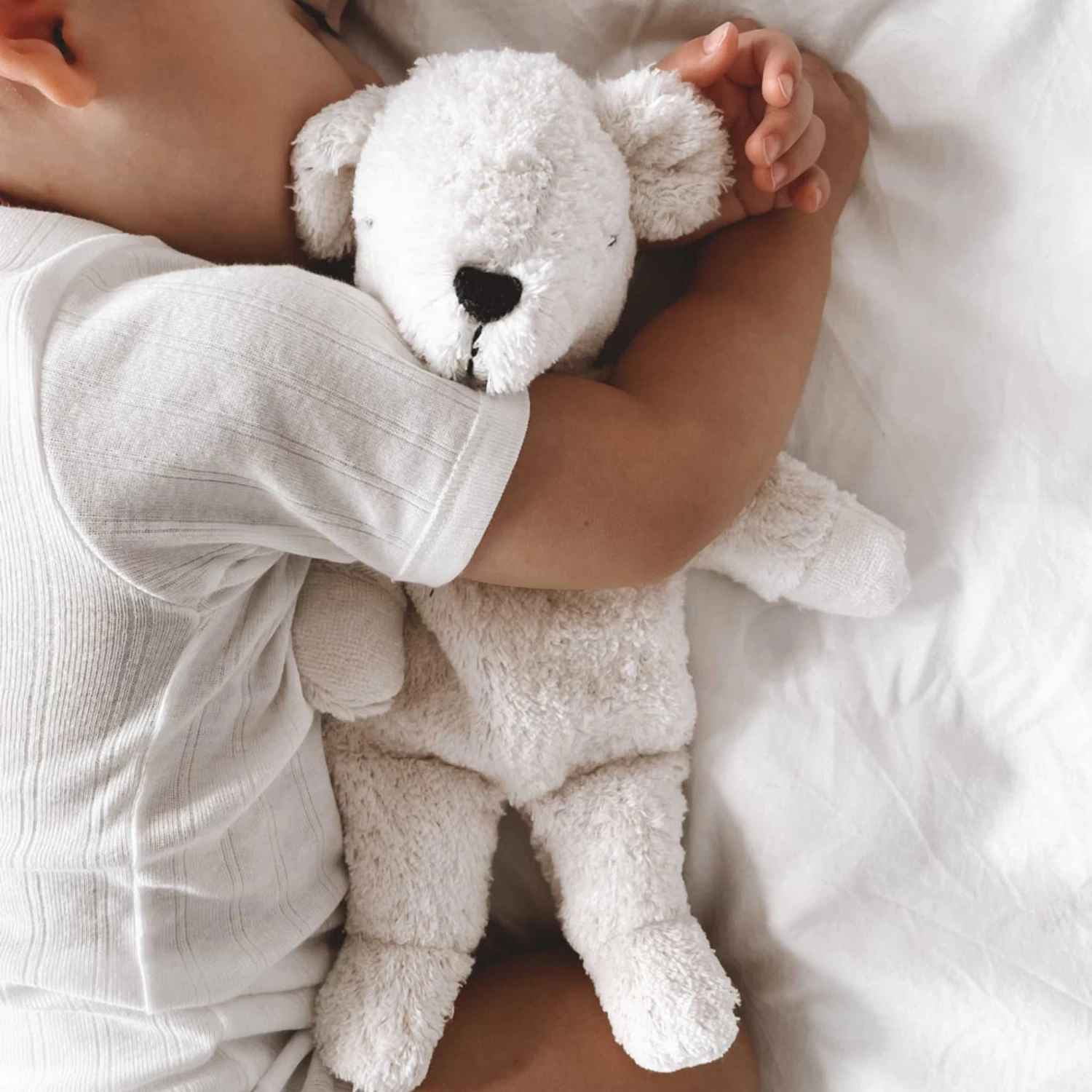 Cuddly Polar Bear Hottie(Senger Naturwelt Cuddly Animal Polar Bear Hottie) - Image 2