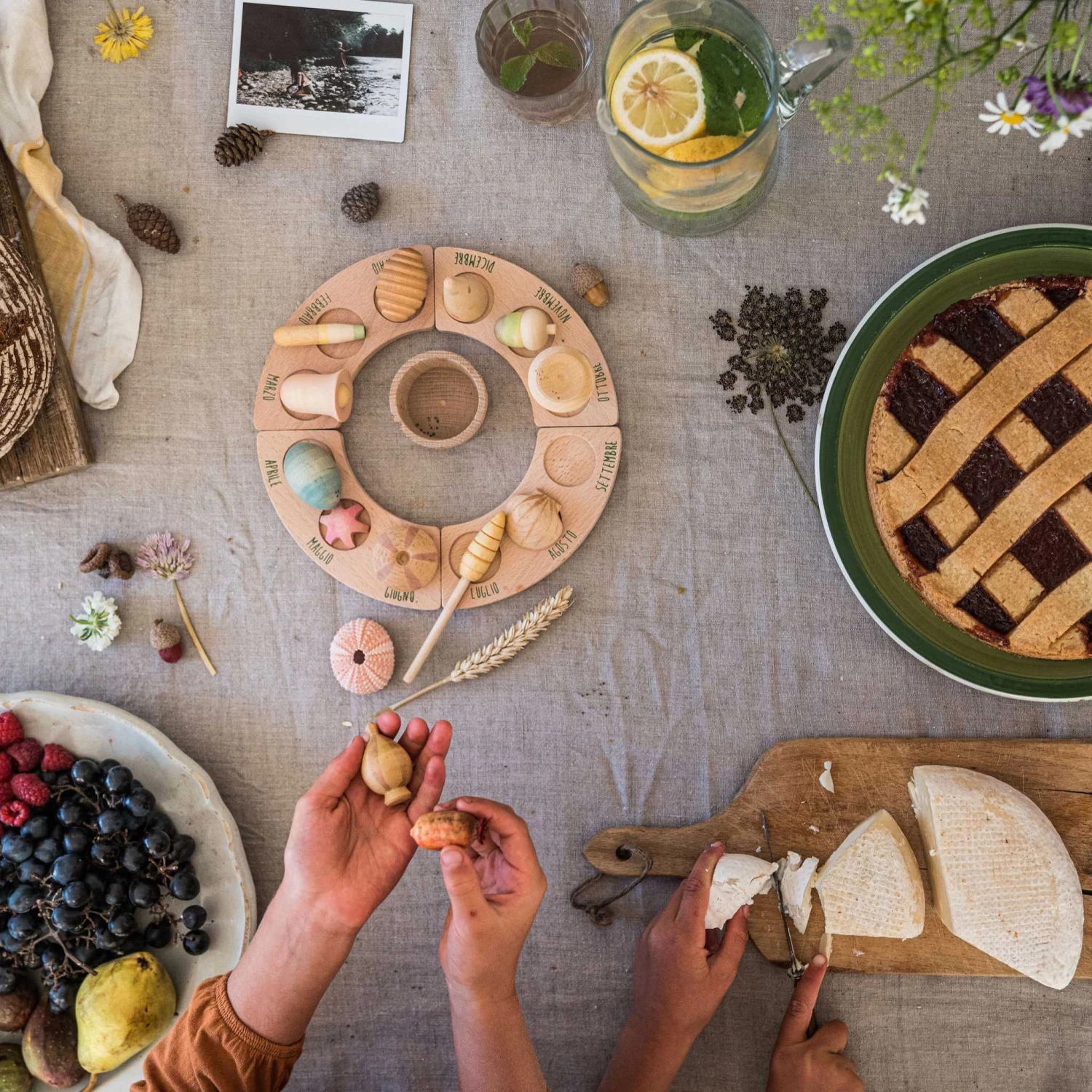 Wonders Set-12 Wooden Botanical Wonders(Grapat 12 Wooden Botanical Wonders Set) - Image 11